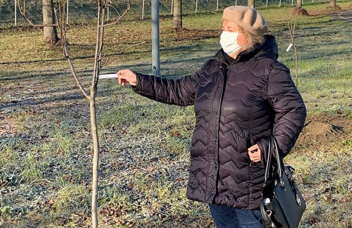 L'assessore Maria Pia Galletti