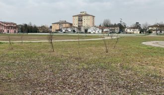 Nuove Piante Al Parco Berardi (1)