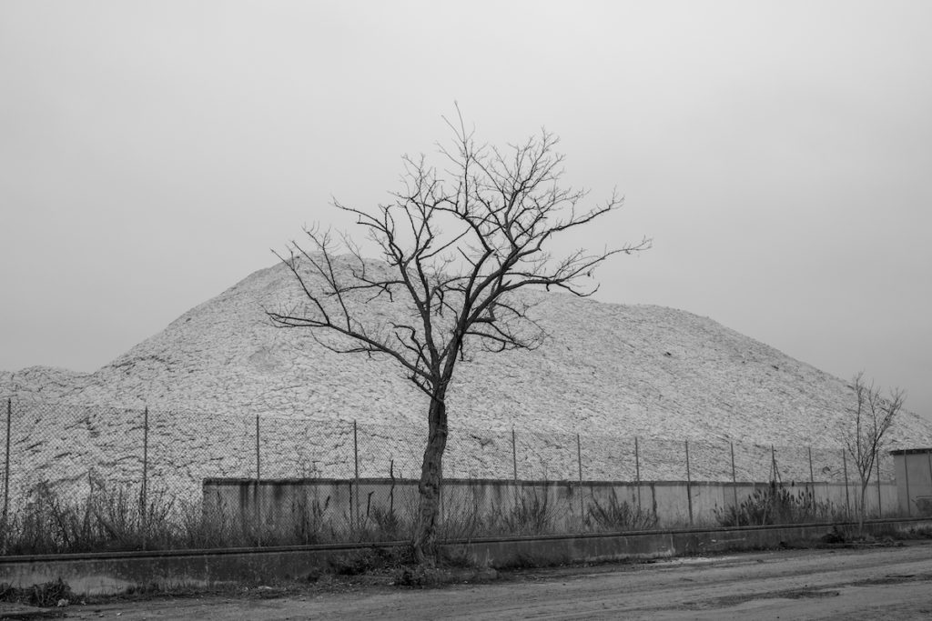 Natura morta