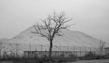 Natura morta