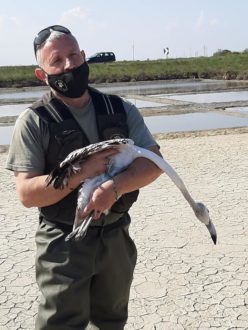 176239837 2991754084440584 8057606734309421514 N