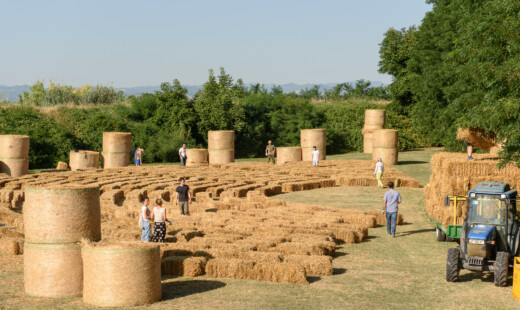 Raccolta Delle Balle, Luglio 2017 (foto Di Enrico Montanari) (2)