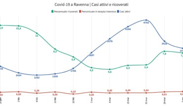 Attivi E Ricoveri