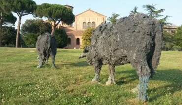 Sculture Di Bufali All