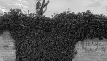 L'aggressione