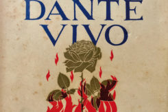 167 Dante Ridimensionata