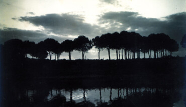 Pietro Bezzi Pineta Di Classe