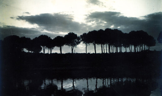 Pietro Bezzi Pineta Di Classe