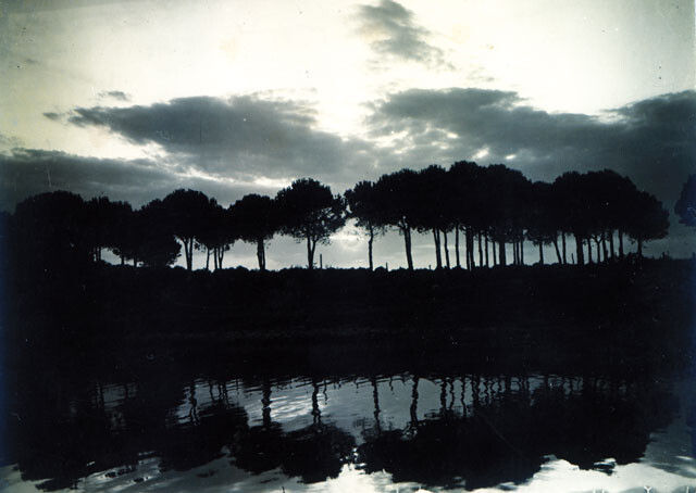 Pietro Bezzi Pineta Di Classe