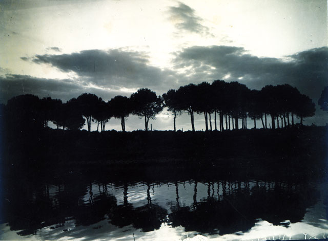 Pietro Bezzi, “Pineta di Classe” (fotografia, 1920, Fondo Corrado Ricci, Biblioteca Classense di Ravenna)