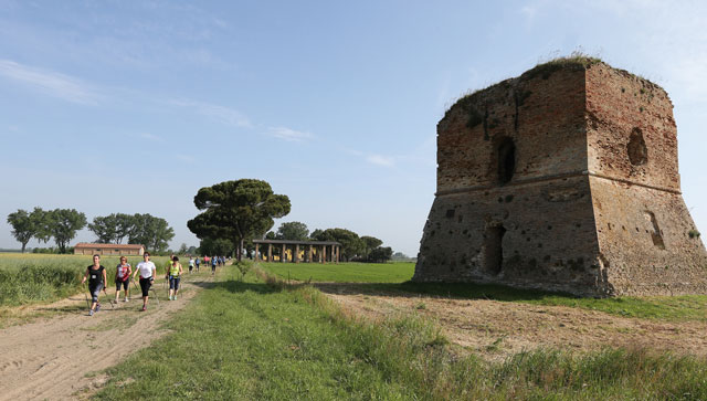 Trail Romagna Torraccia