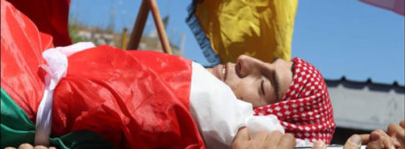 Vittima Di Guerra Palestina