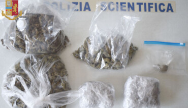 Marijuana