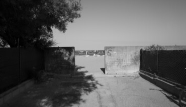 Starne fuori