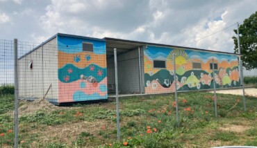 Il Nuovo Rifugio Del Cane Di Faenza (1)