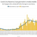 Copy Of Media Mobile E Casi Giornalieri