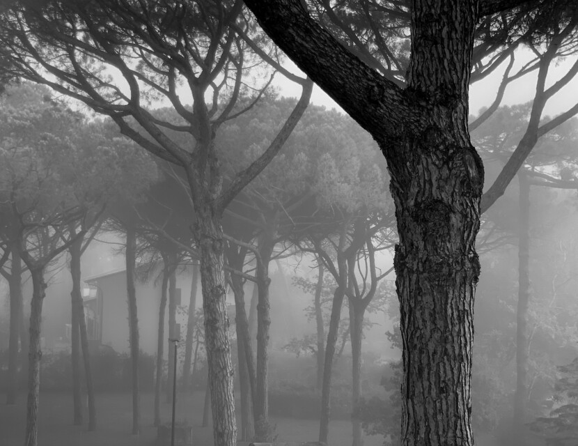 Settembre, il 12