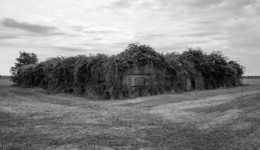 La natura vince