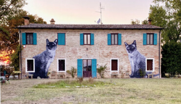 Yuri Catania, I Gatti Di Rovio. Foto Di Yuri Catania