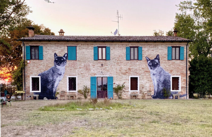 Yuri Catania, I Gatti Di Rovio. Foto Di Yuri Catania