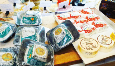 Formaggi Alpine 