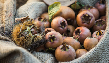 Frutti Dimenticati Casola