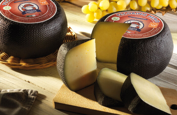 Pecorino Nero CLC
