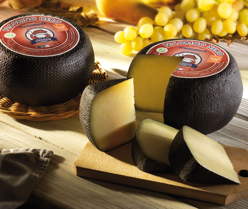 Pecorino Nero CLC