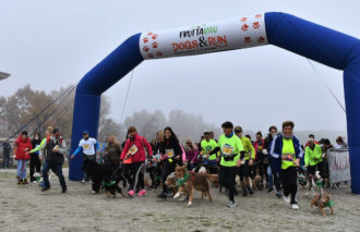 Maratona 2021 Dogs&run