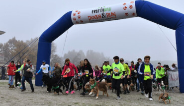 Maratona 2021 Dogs&run