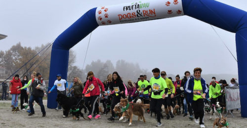 Maratona 2021 Dogs&run