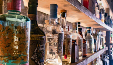 Gin Oasi