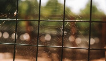 Pexels Nikita Nikitin 9119237