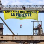 Soia Che Distrugge Greenpeace
