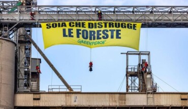Soia Che Distrugge Greenpeace