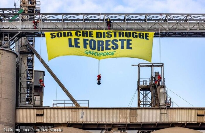 Soia Che Distrugge Greenpeace