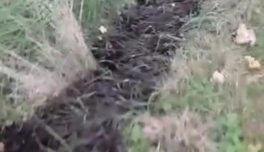 264482537 1334448390313160 7702681973213480683 N