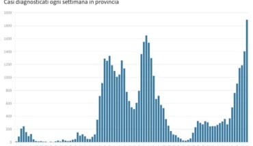 Grafico3