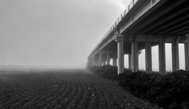 02012022 IMG 0956