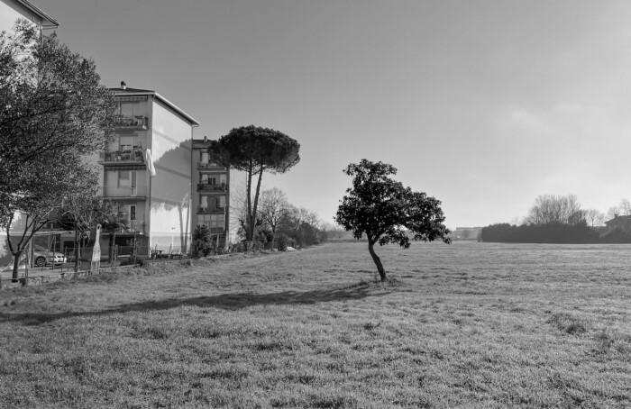 Serve camminare