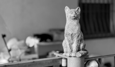08012022 IMG 1081