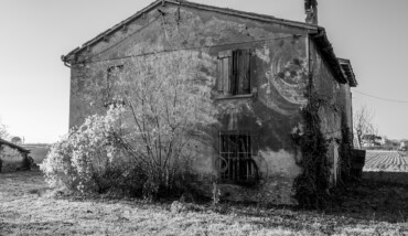 Saluti da Cotignola 