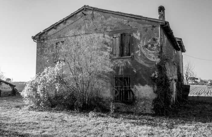 Saluti da Cotignola