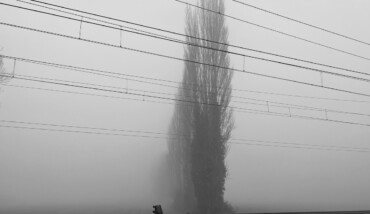 Spesso sogno treni