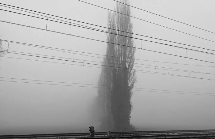 Spesso sogno treni