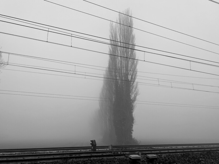 Spesso sogno treni