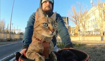 Dean Nala