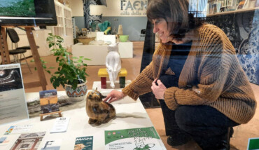 Allestimento4 arte gatto arte fatto