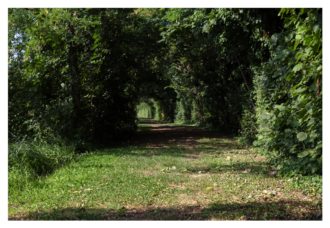 Canale Dei Mulini A San Patrizio (1)