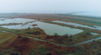 Foto CER Oasi Acqua Campus Natura